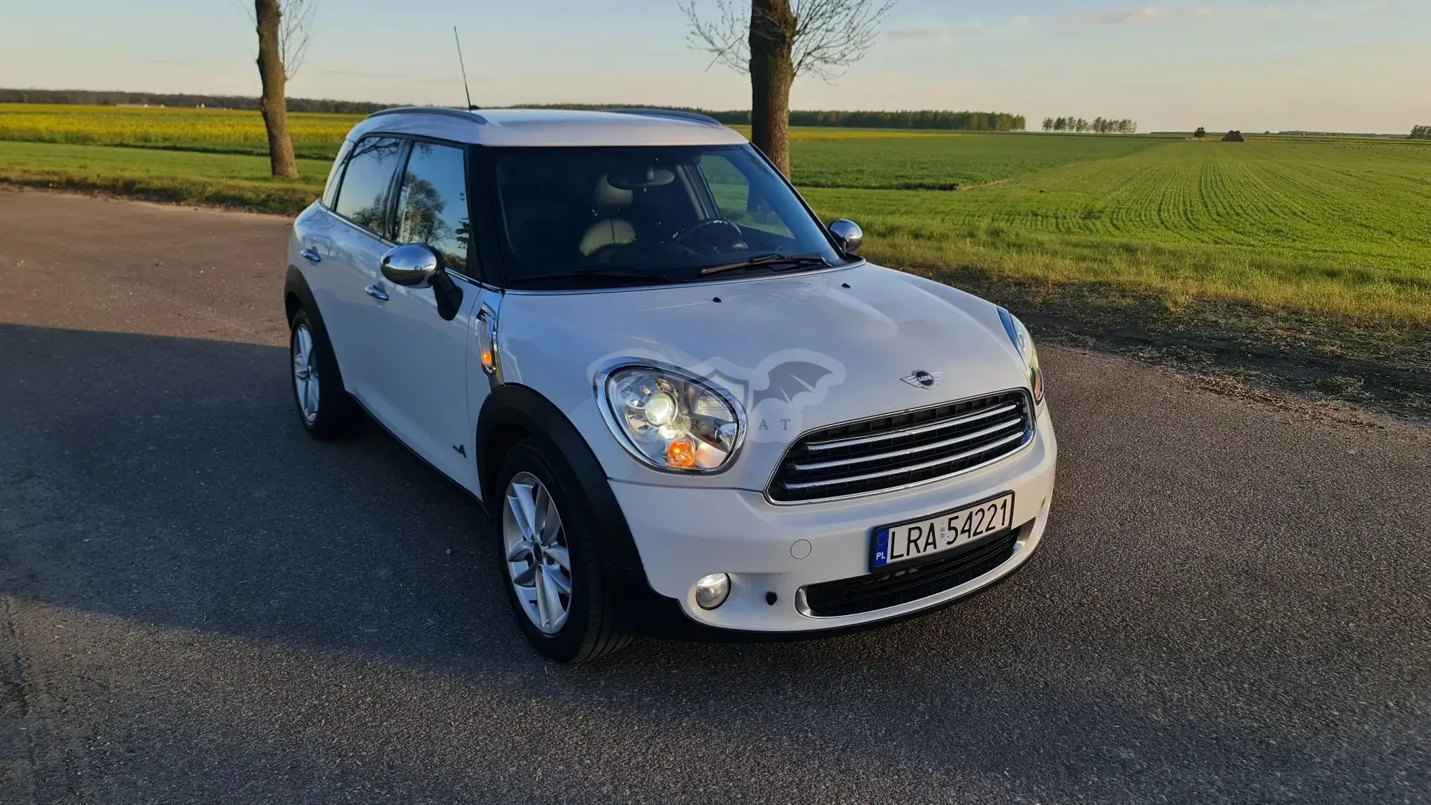 Mini Countryman 2011