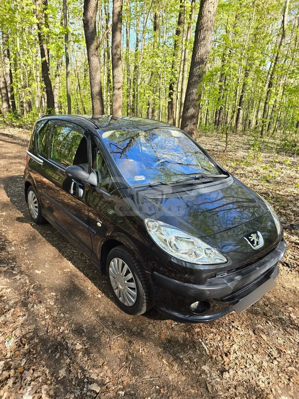 Peugeot 1007 2005