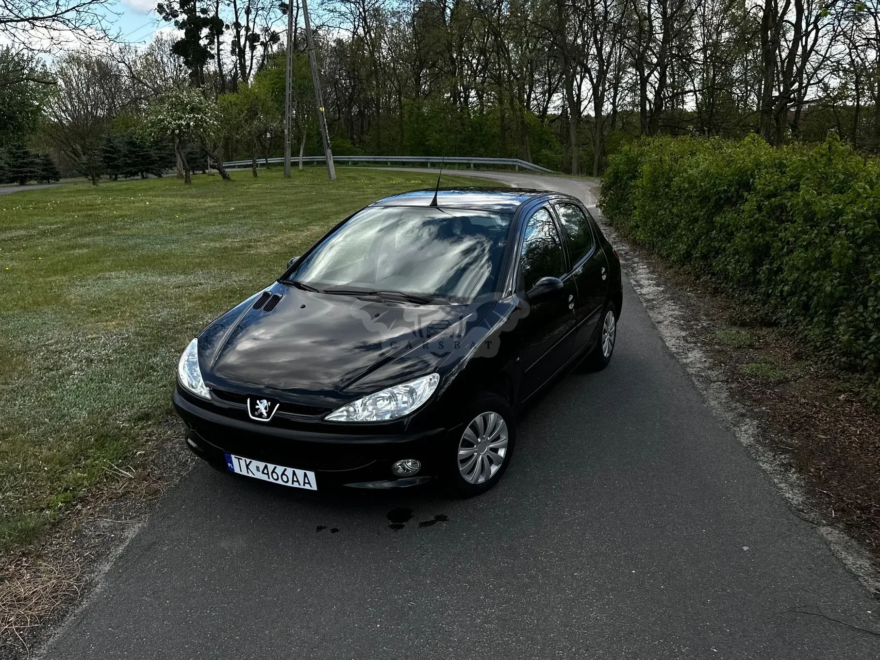 Peugeot 206 1.4 XS 2003