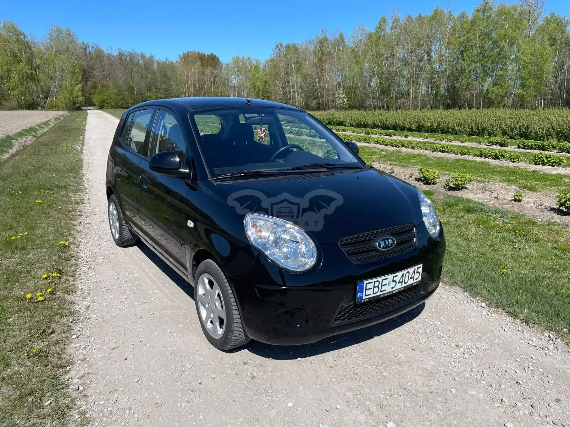 Kia Picanto (Morning) I 1.1 2009