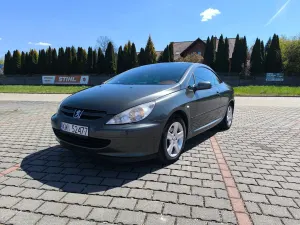 Peugeot 307 2004