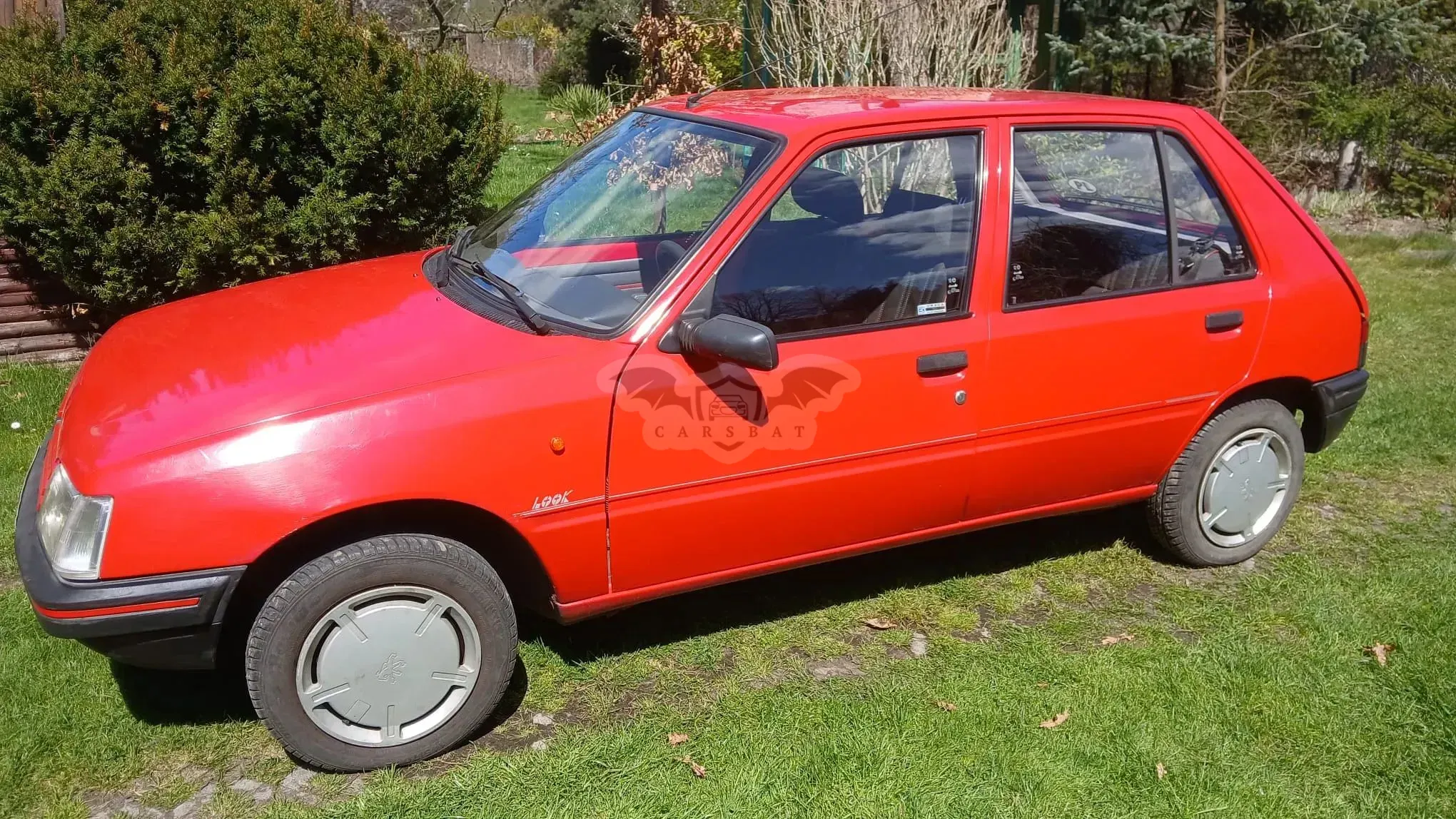 Peugeot 205 1.0 Look 1991