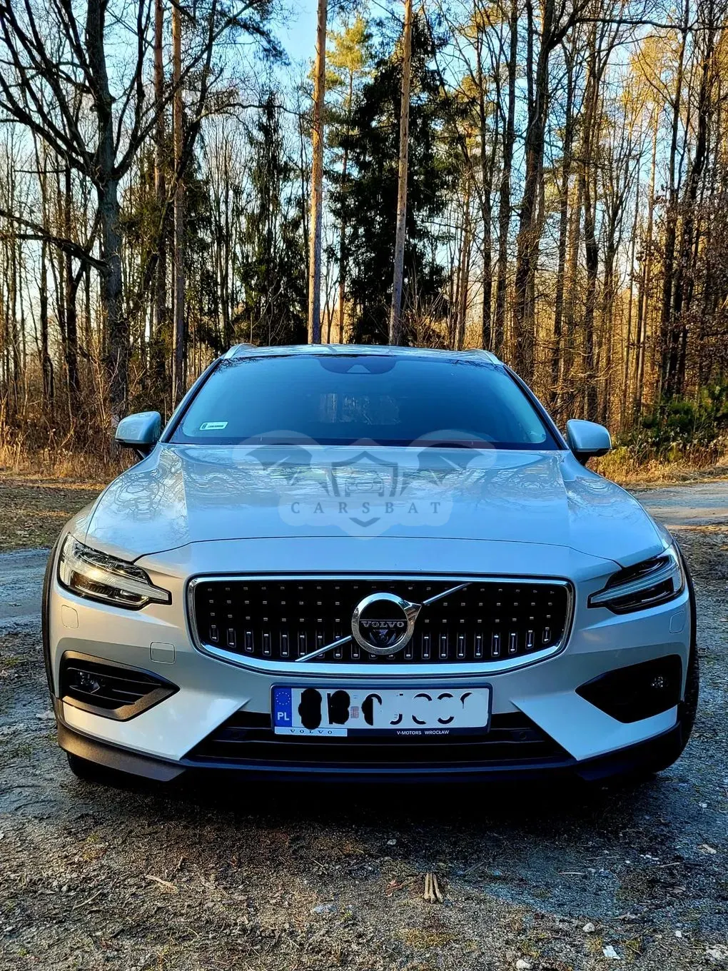 Volvo V60 D4 AWD 2019