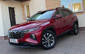 Hyundai Tucson IV blue 1.6 CRDi 2WD Pure 2021