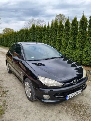 Peugeot 206 1.4 Trendy 2004