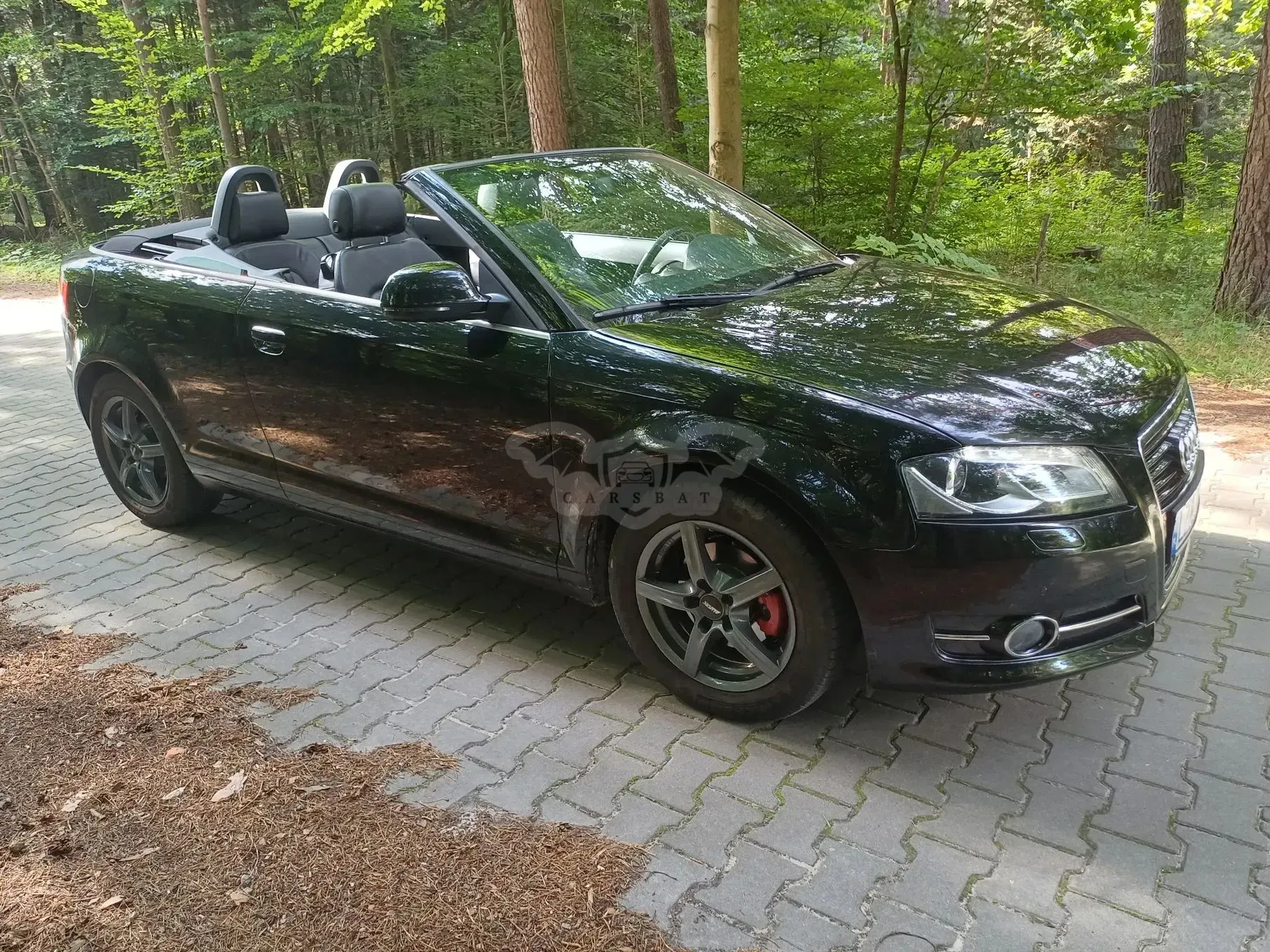 Audi A3 8P 1.9 TDI DPF Ambition 2008