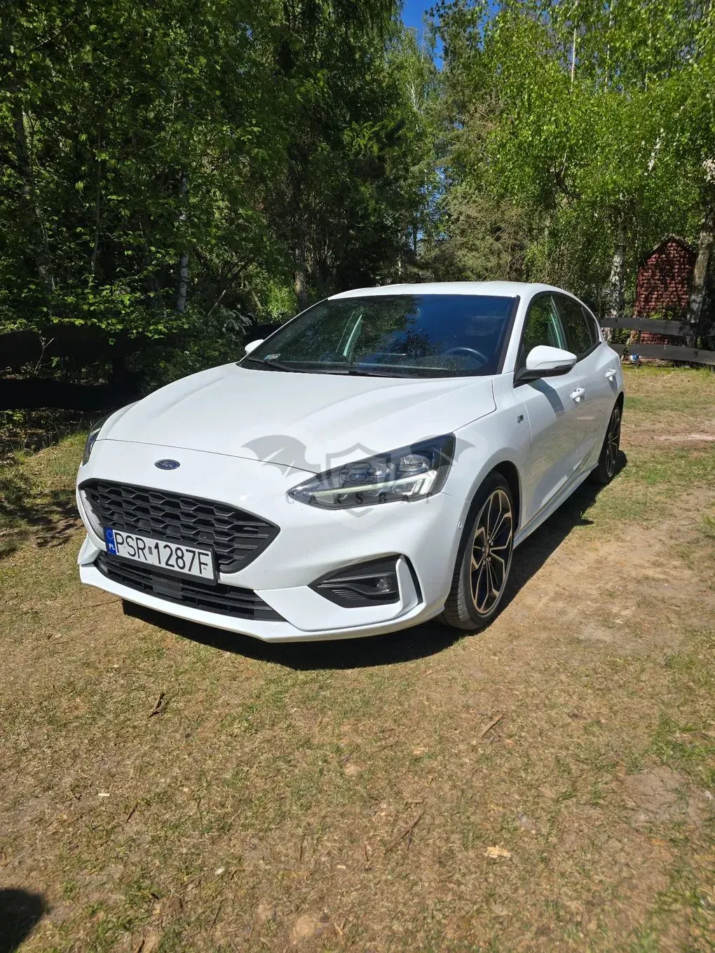 Ford Focus Mk4 1.5 EcoBoost ST-Line 2019