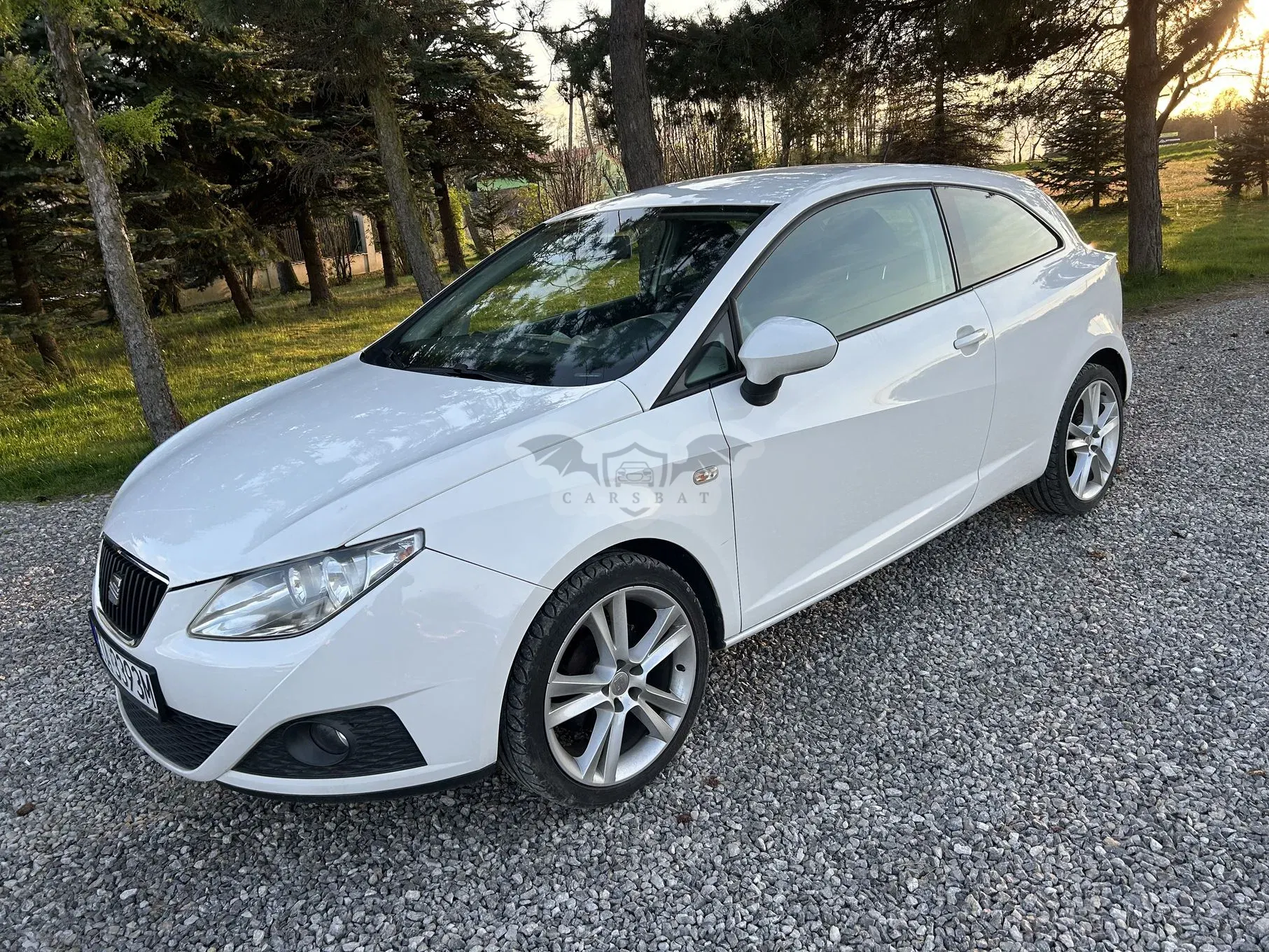 Seat Ibiza IV 2010