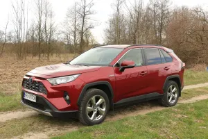 Toyota Rav4 V 2.5 Hybrid Comfort 4x4 2019