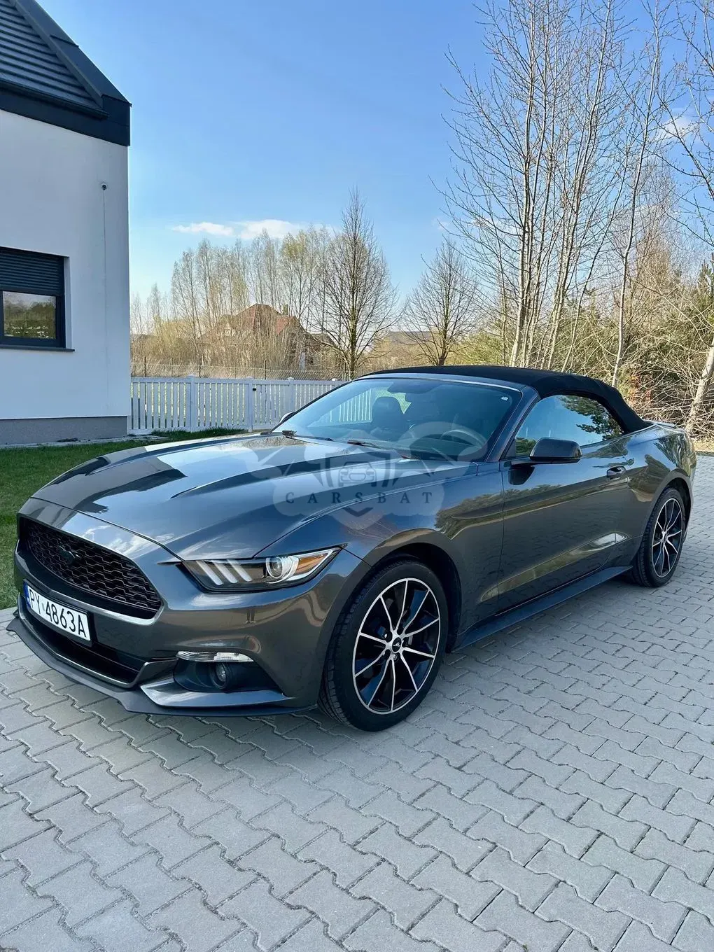 Ford Mustang Cabrio 2.3 Eco Boost 2016