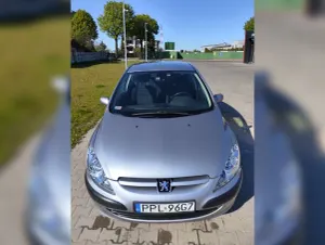 Peugeot 307 I 1.6 2004