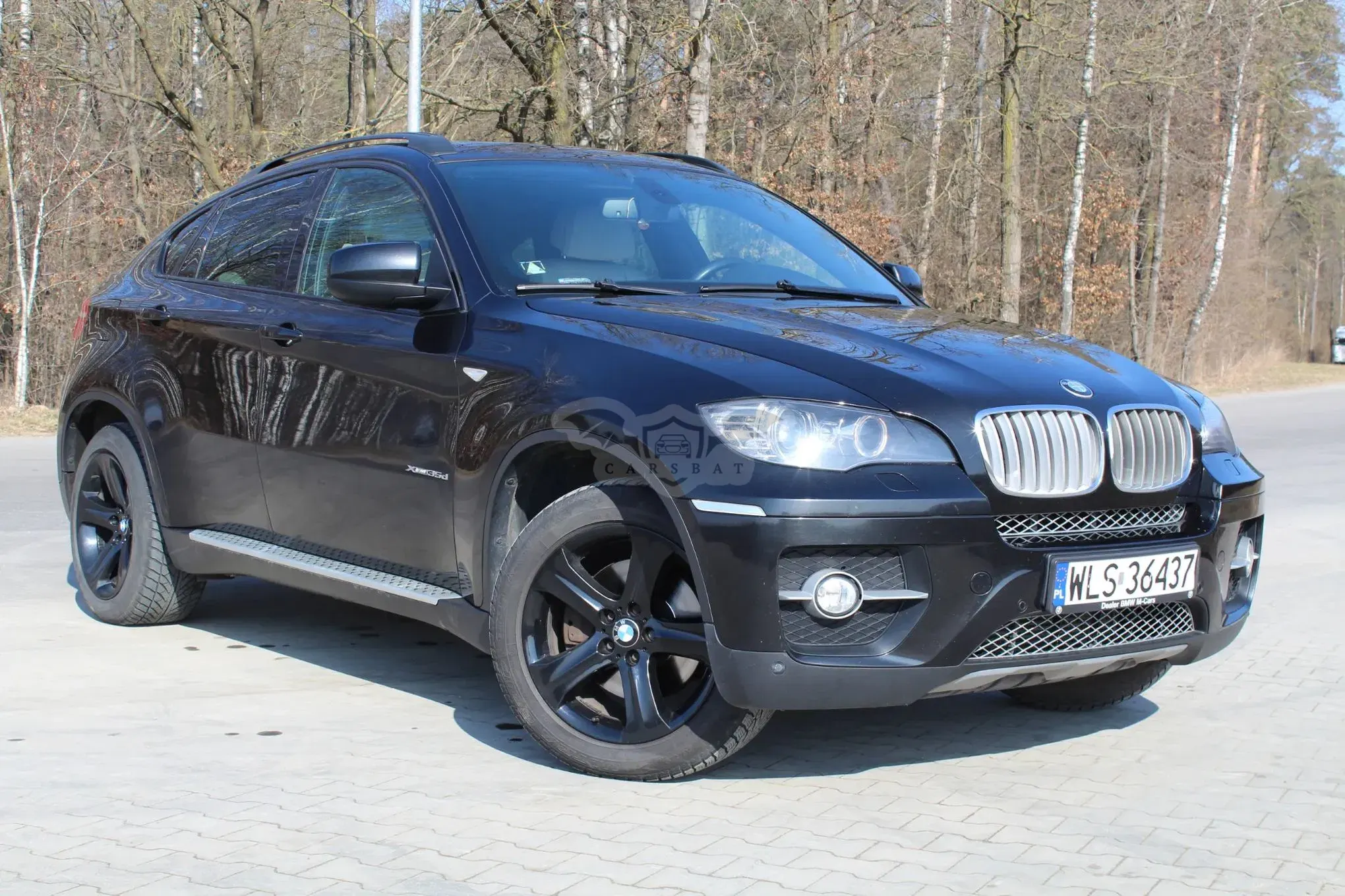 BMW X6 E71 2009