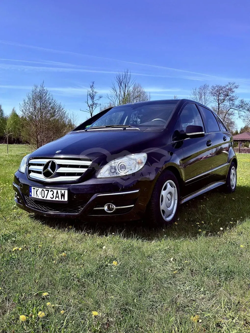 Mercedes-Benz B W245 180 CDI Autotronic 2008