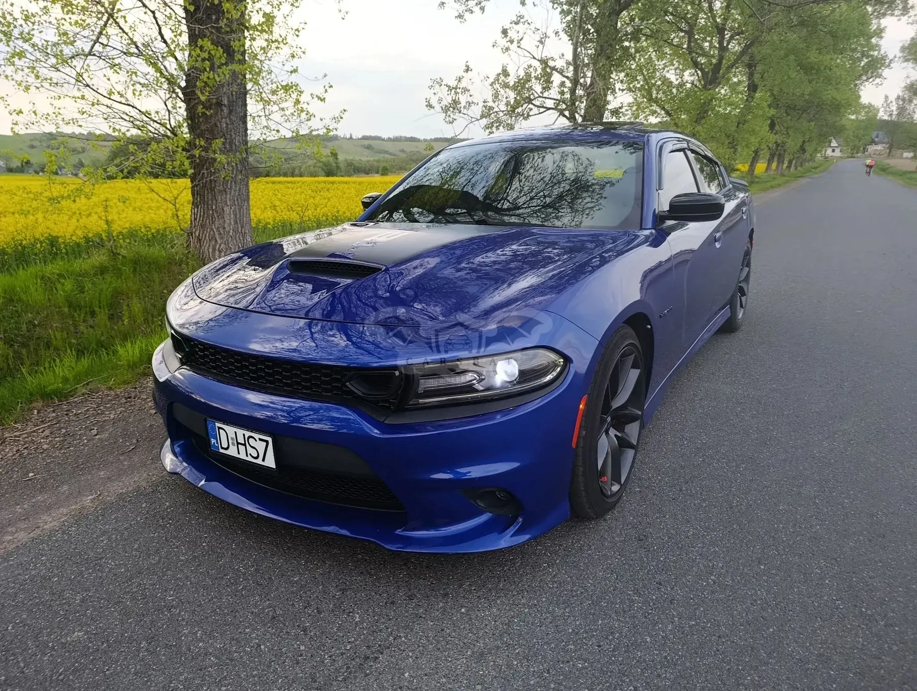 Dodge Charger 5.7 R/T 2020