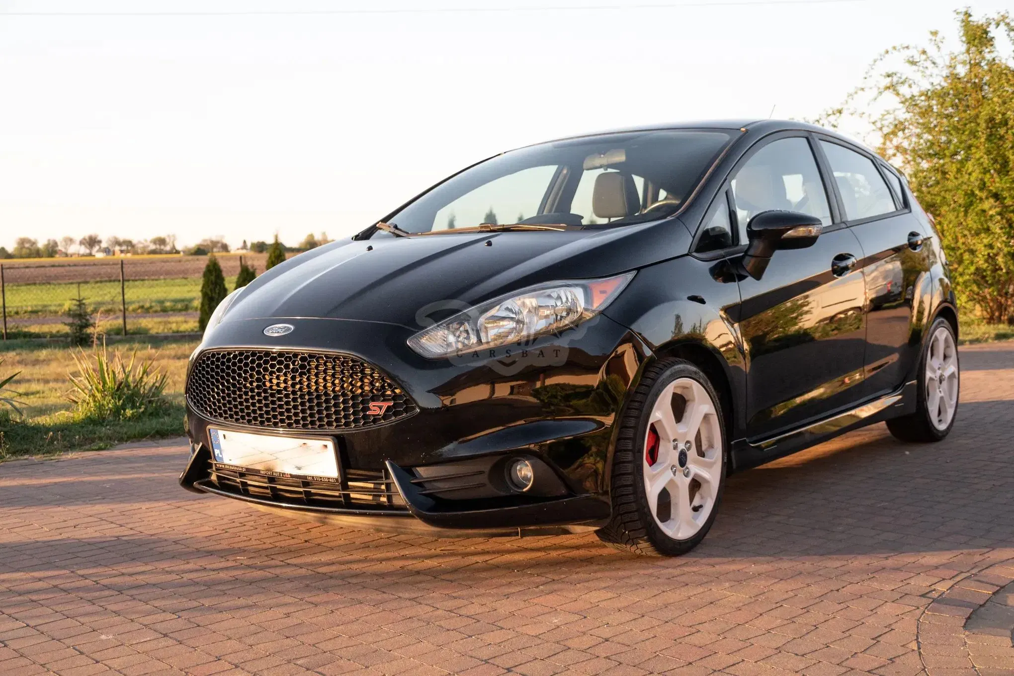 Ford Fiesta Mk7 1.6 EcoBoost ST 2017