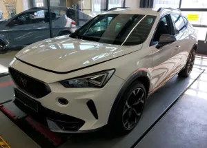 Cupra Formentor 2.0 TSI 4Drive VZ DSG 2024