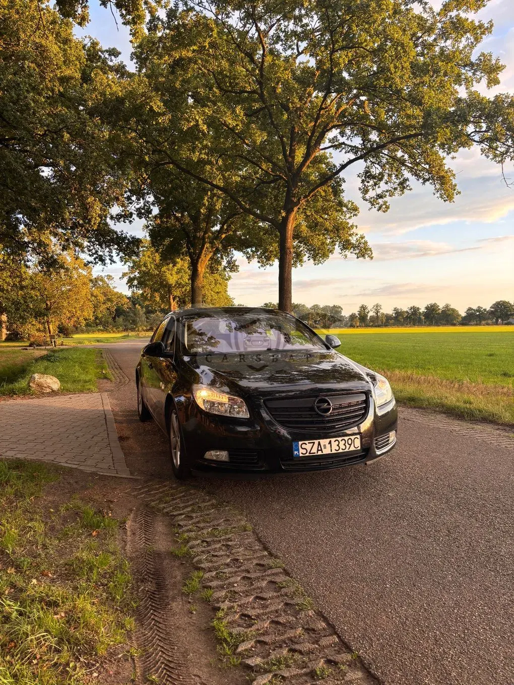 Opel Insignia A 2.0 CDTI Cosmo 2008