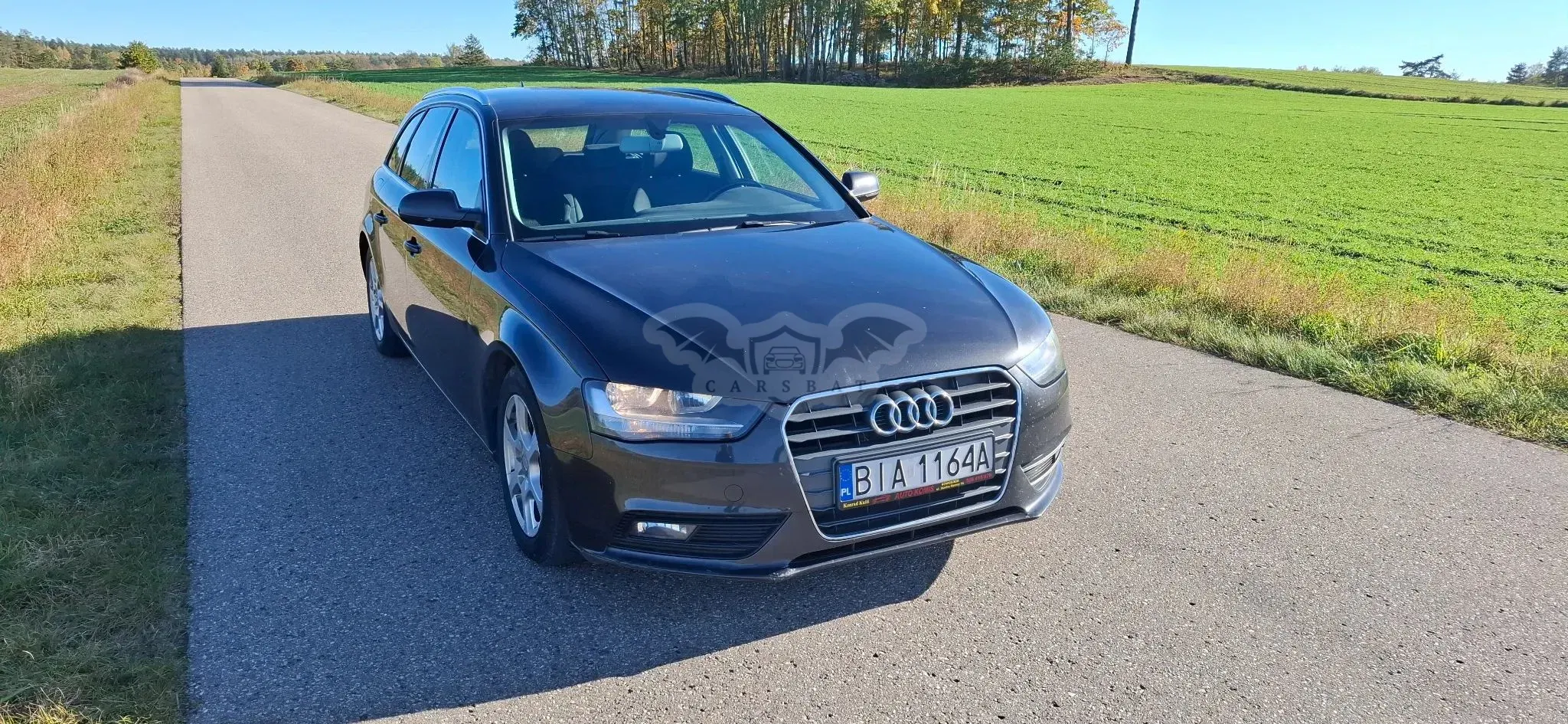 Audi A4 B8 2.0 TDI e DPF Ambiente 2013