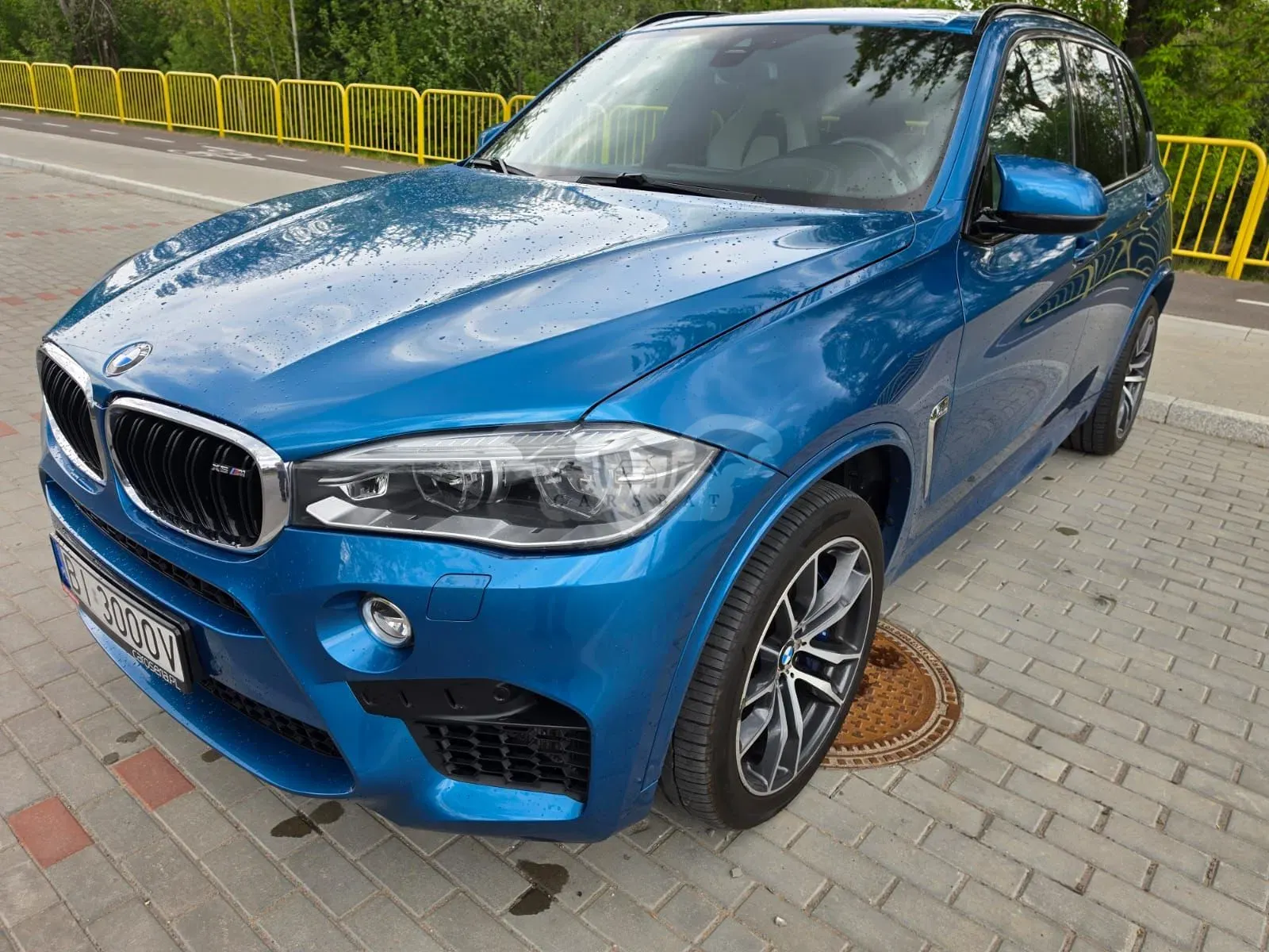 BMW X5 Standard 2015