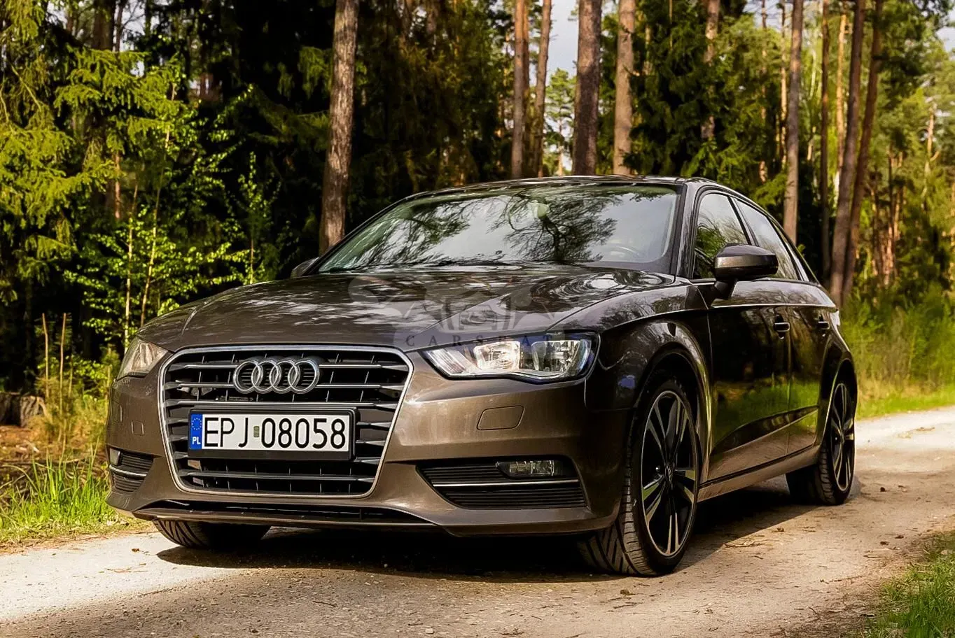 Audi A3 8V 2013