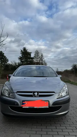 Peugeot 307 I 1.4 Mistral 2005