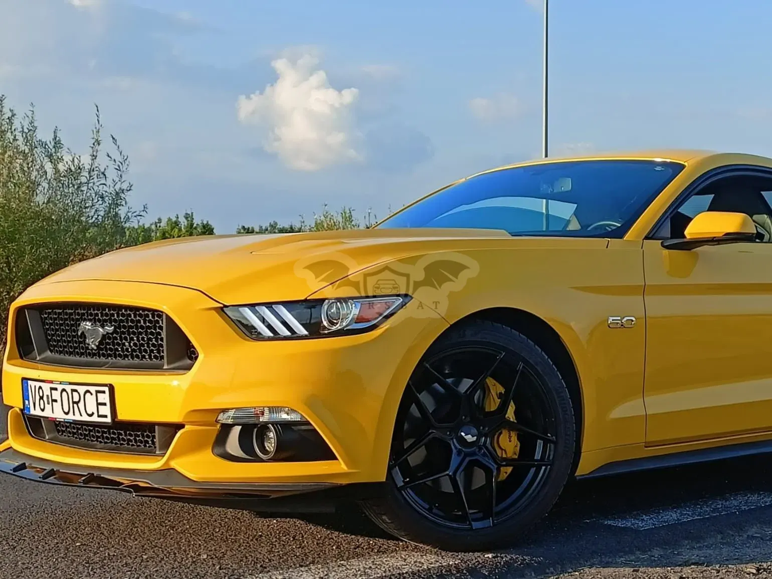 Ford Mustang 5.0 Ti-VCT V8 GT 2015