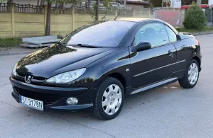 Peugeot 206 2004