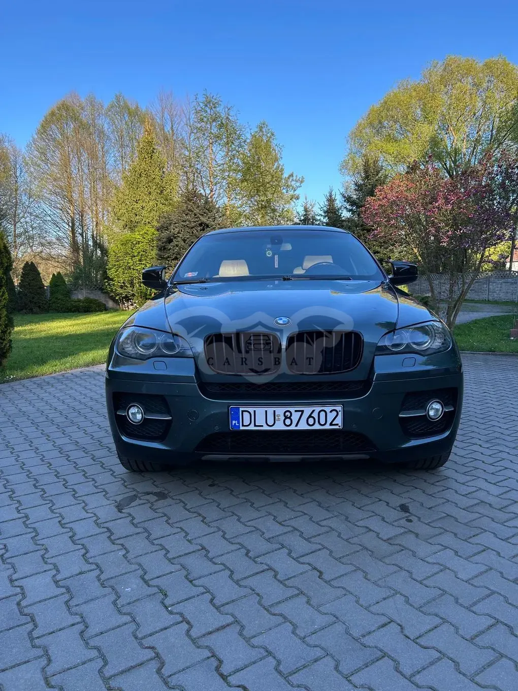 BMW X6 E71 2010