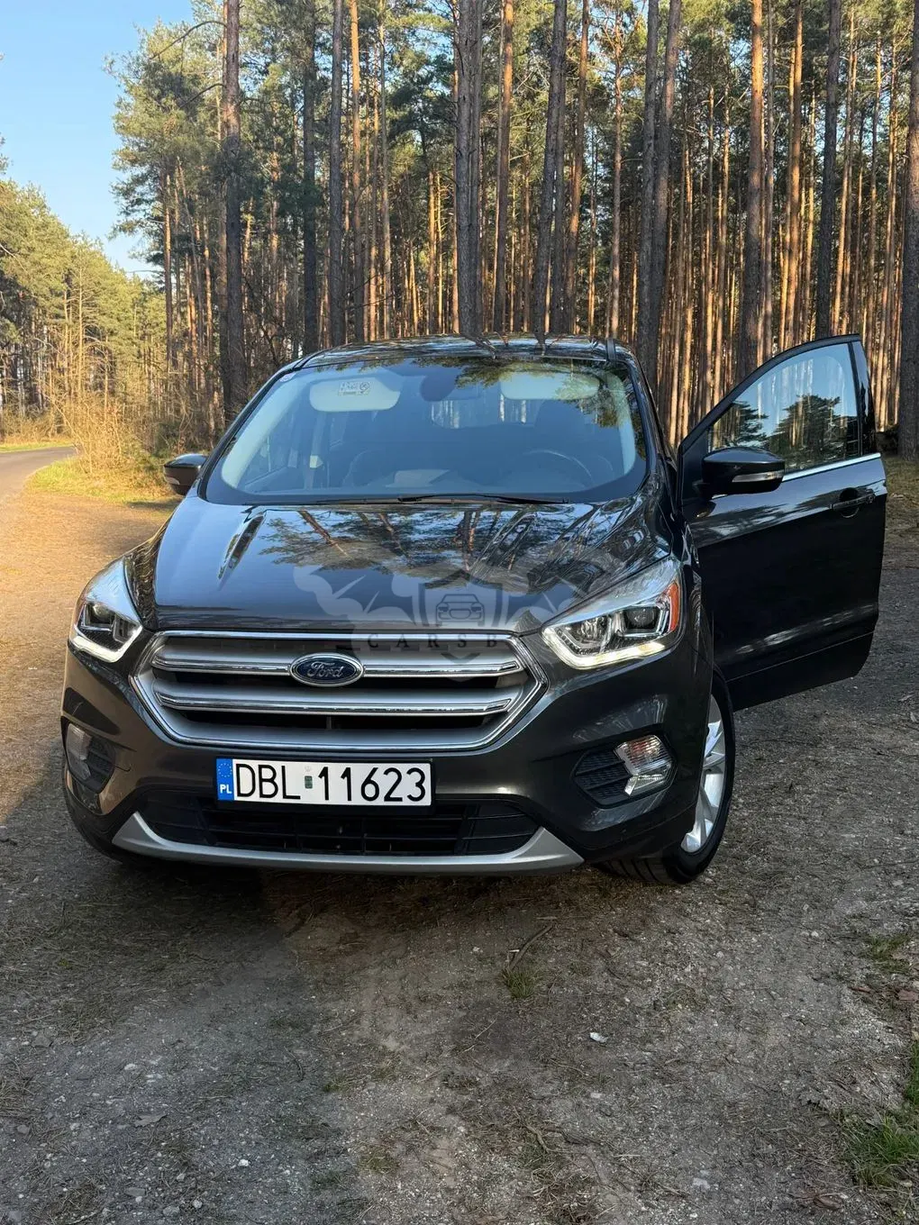 Ford Kuga II 1.5 TDCi 2x4 Cool & Connect 2017