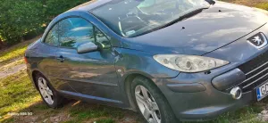 Peugeot 307 2005