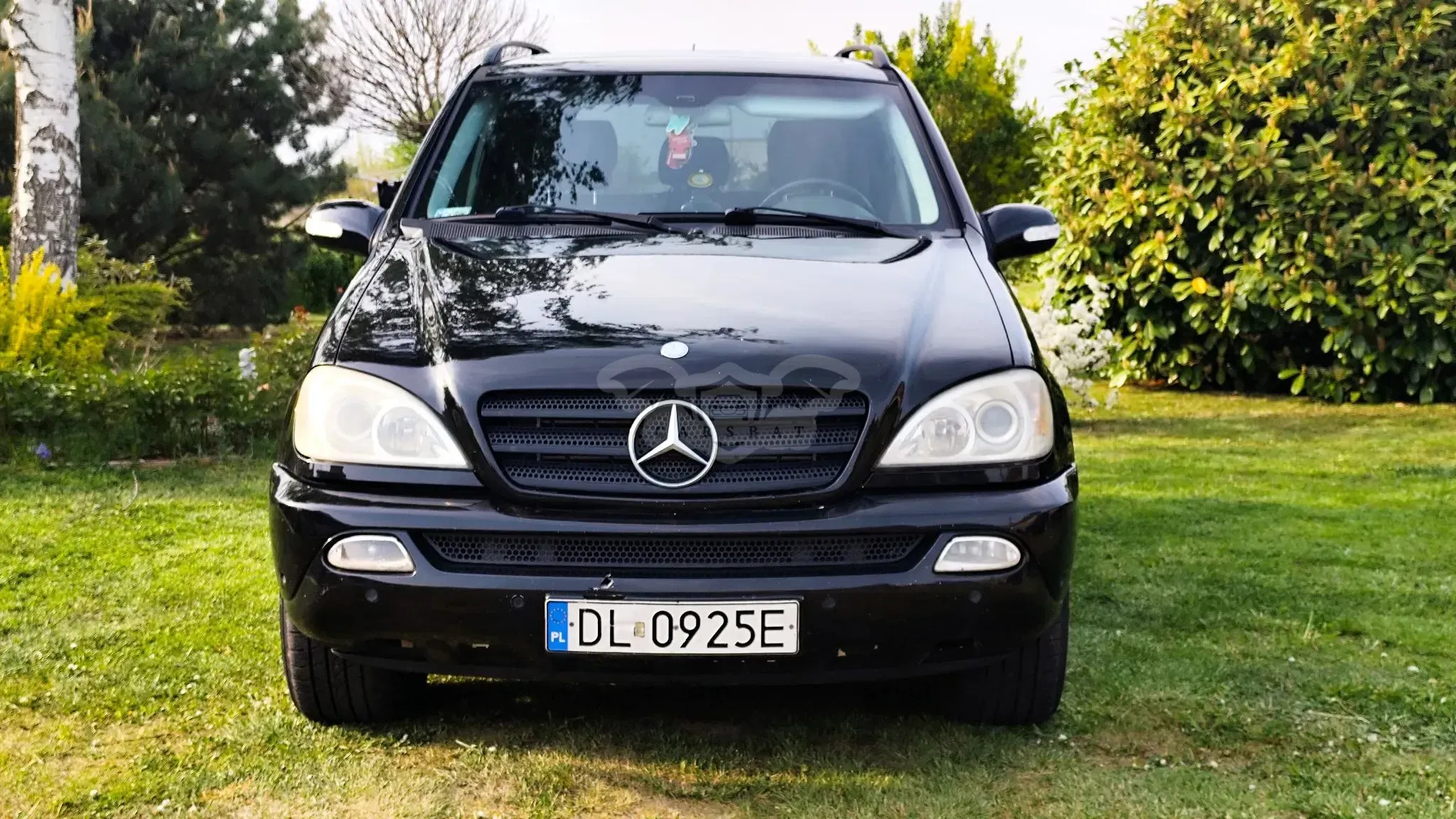 Mercedes-Benz ML W163 2003