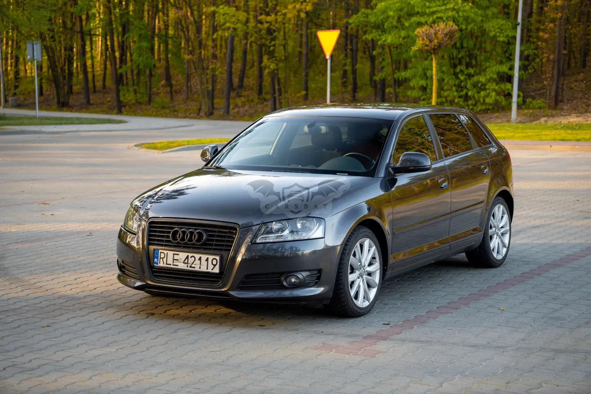 Audi A3 8P 2.0 TDI DSG Ambition 2008