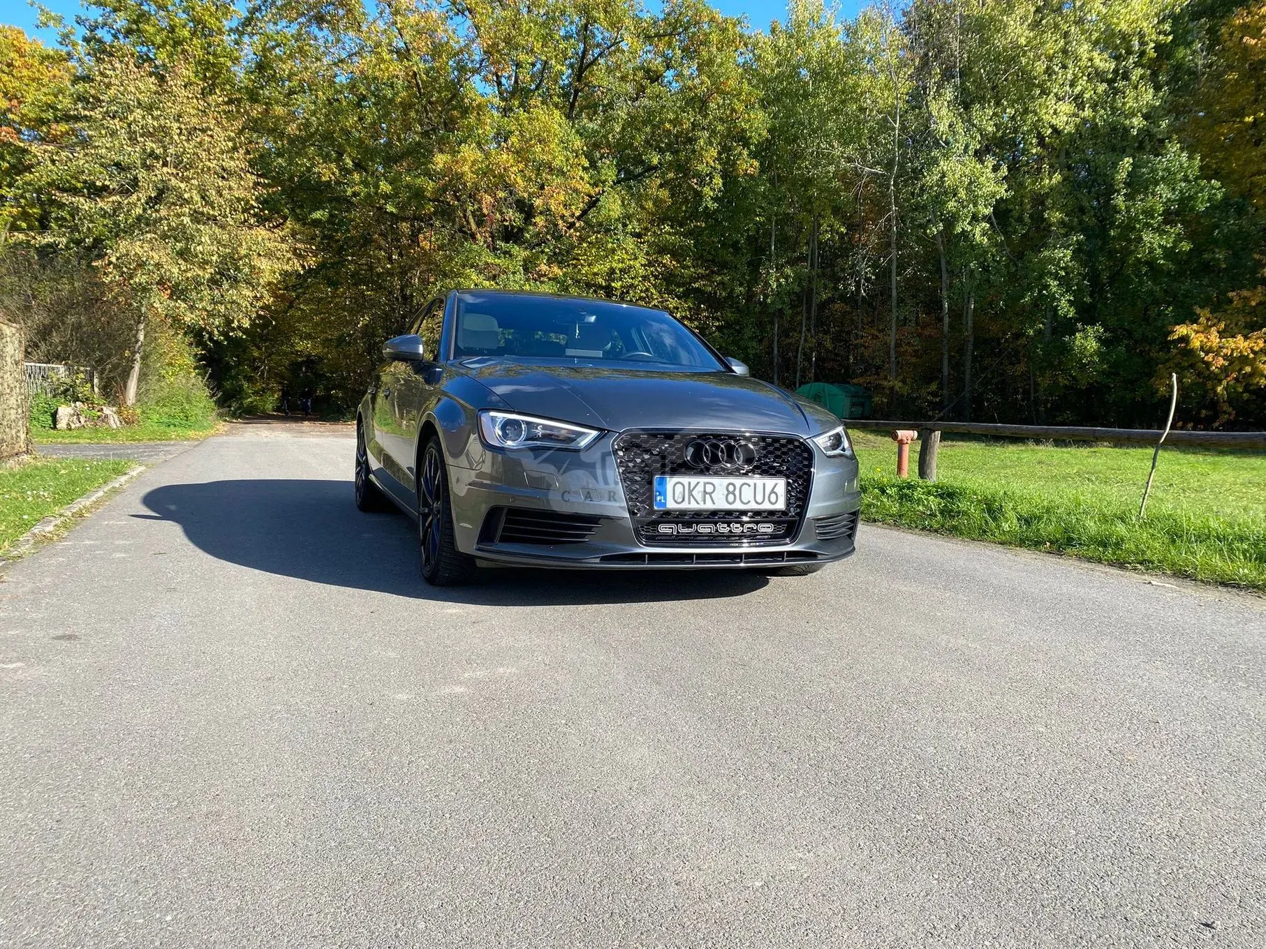 Audi A3 8V 2.0 TFSI quattro S tronic sport 2016