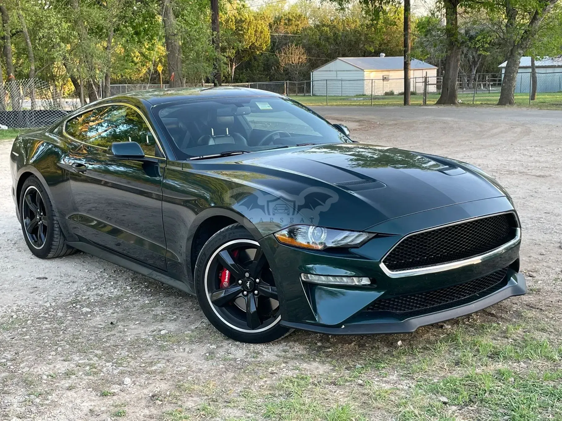 Ford Mustang 5.0 Ti-VCT V8 BULLITT 2019