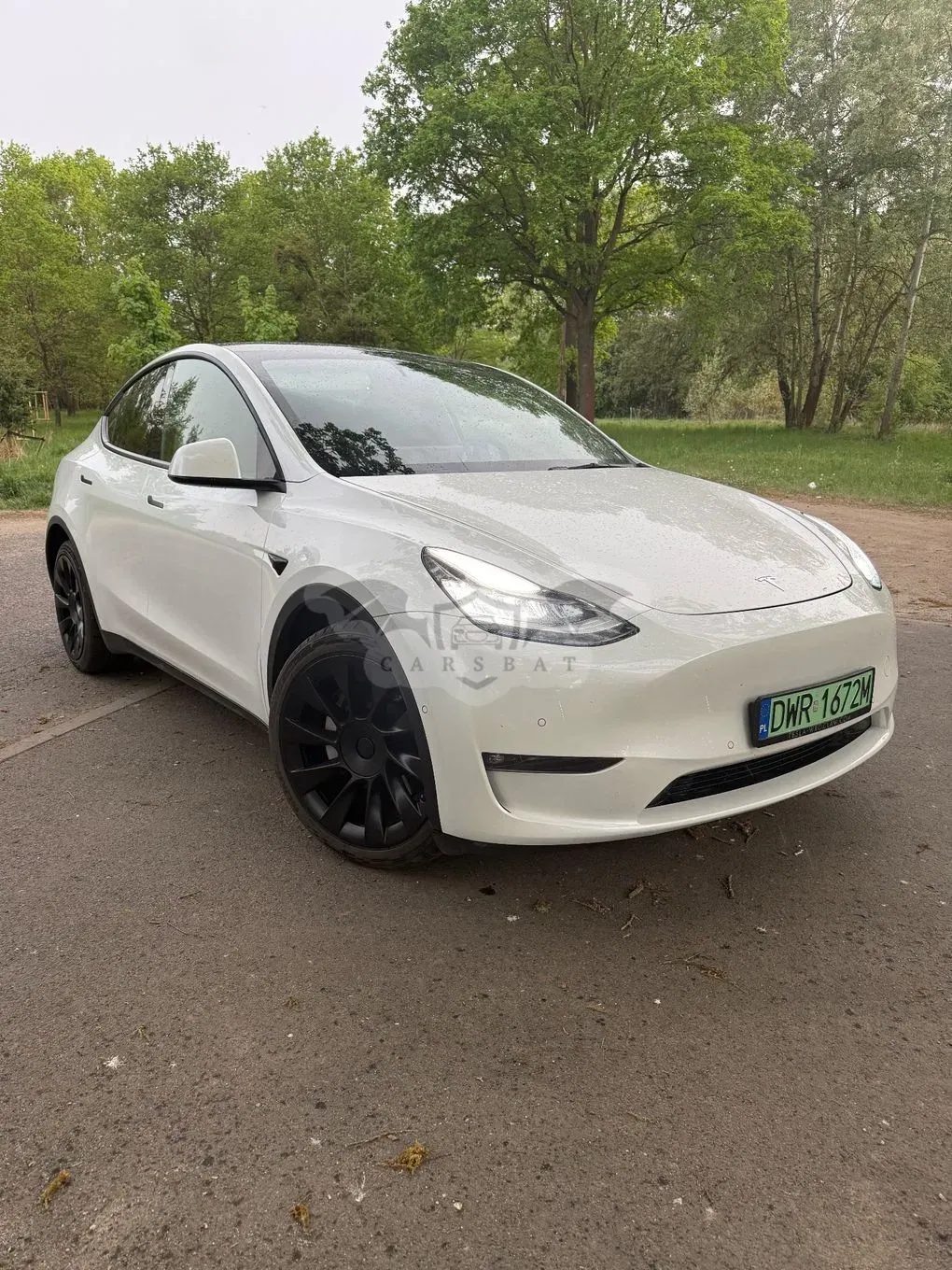 Tesla Model y 2021