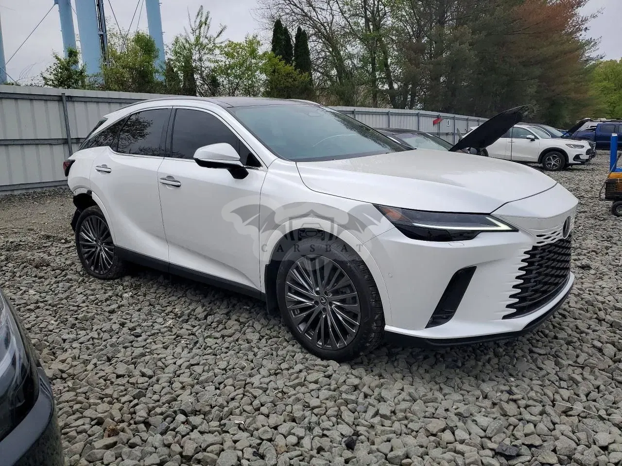 Lexus RX V 2024