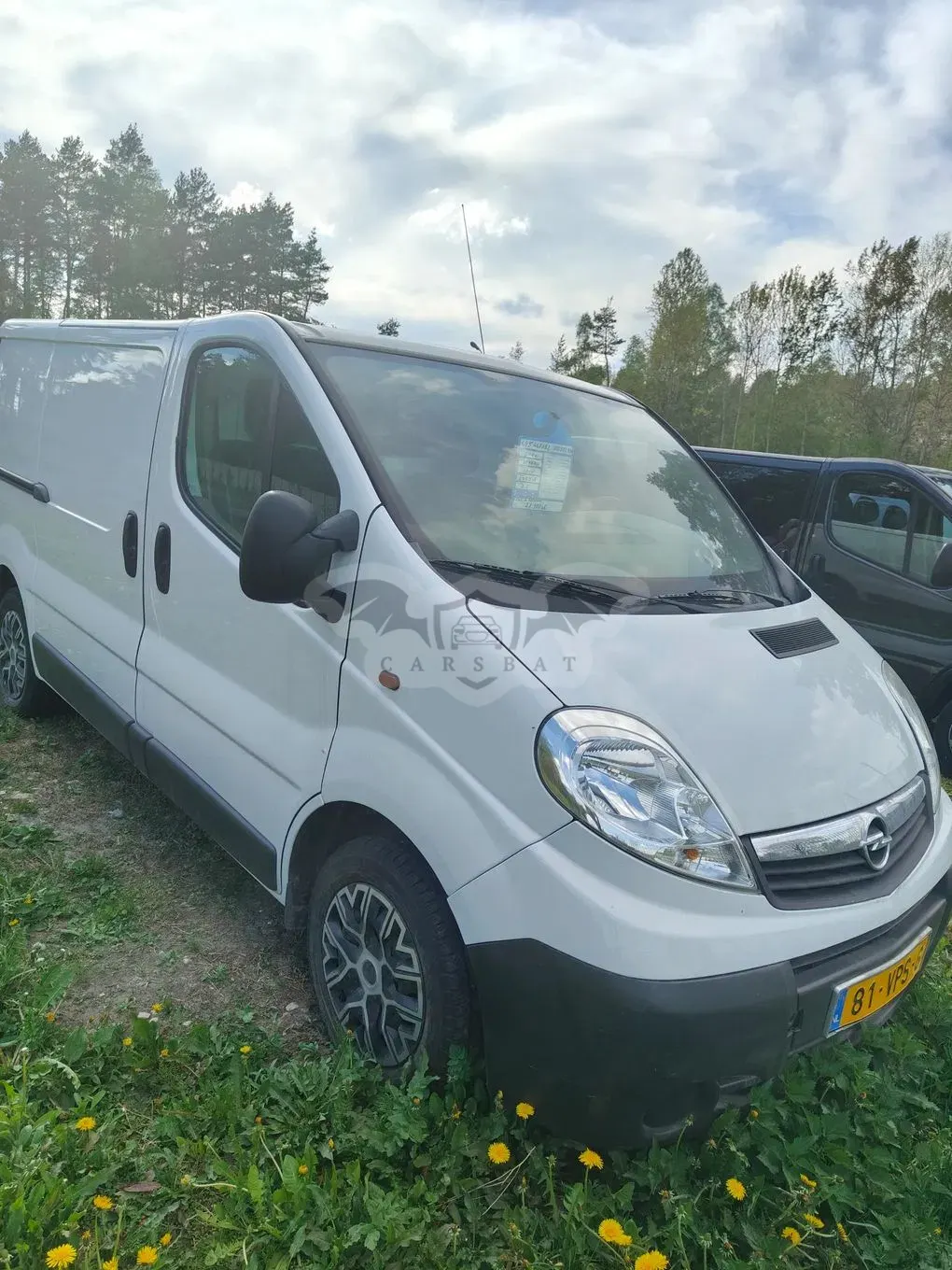 Opel Vivaro 2010