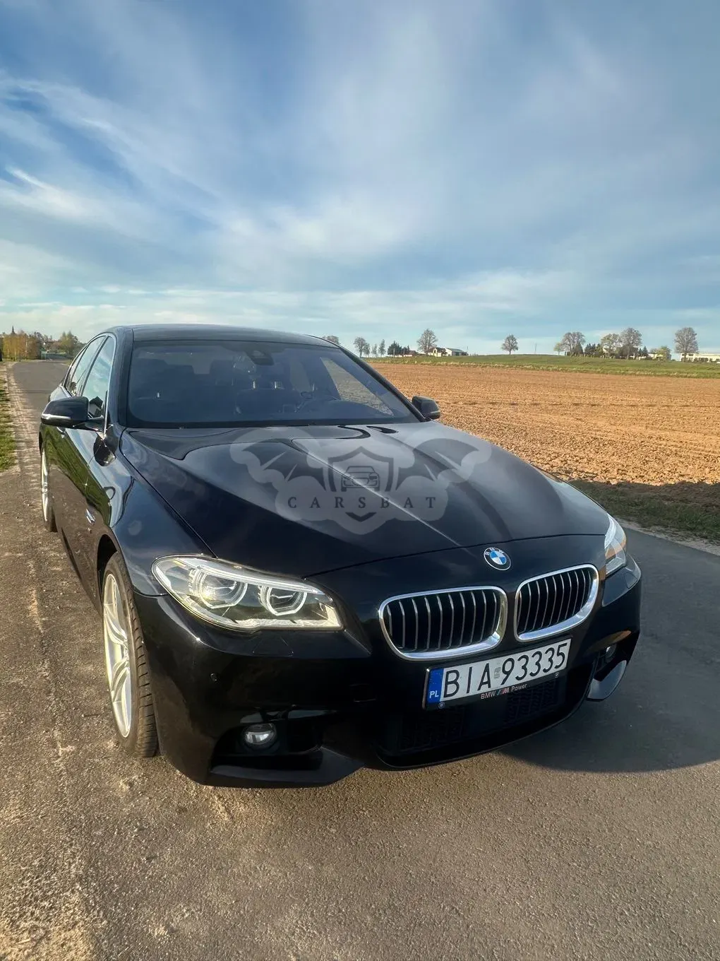 BMW 5 Series F10/F11 535d xDrive 2014