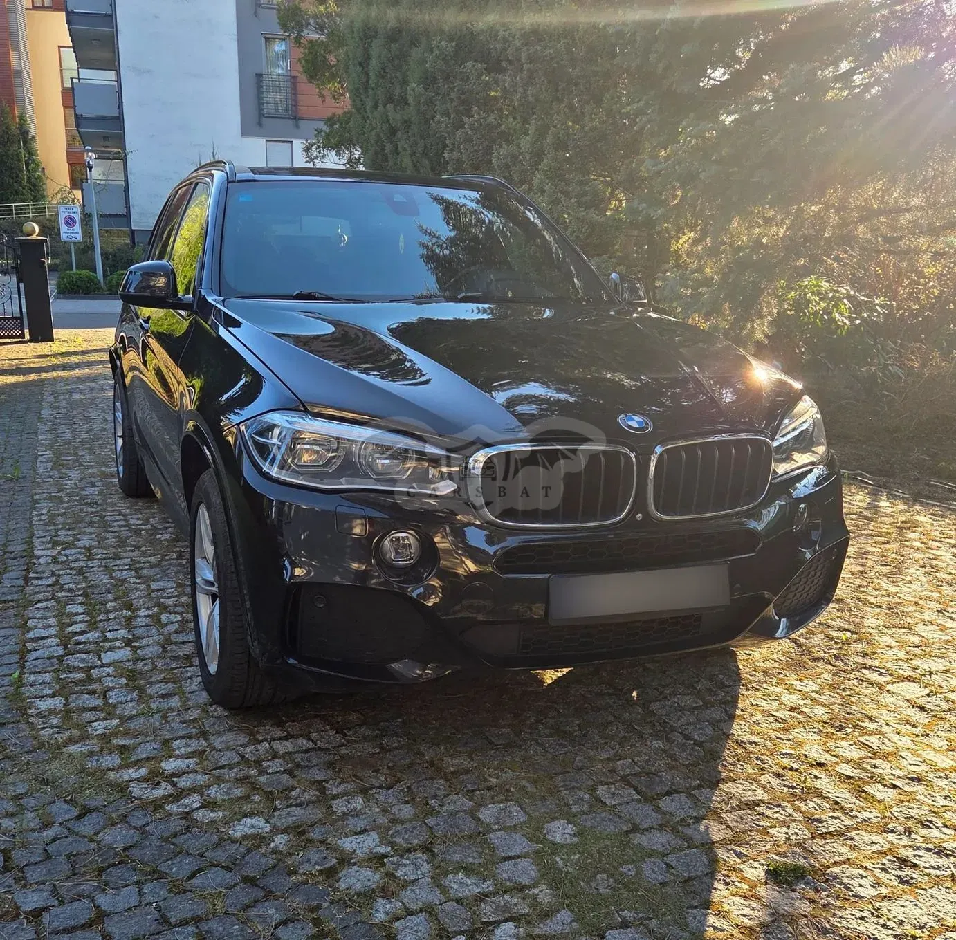 BMW X5 F15 xDrive25d 2014