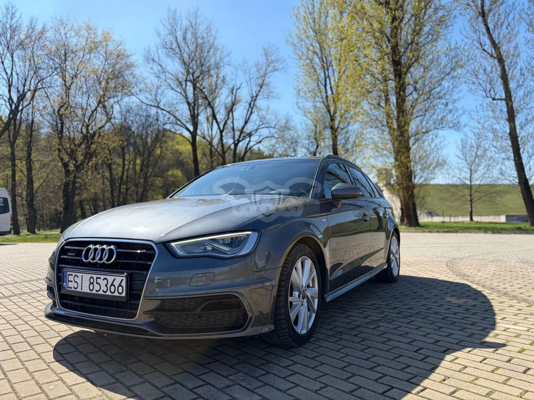 Audi A3 8V 2.0 TDI clean diesel Quattro Ambiente S tronic 2013