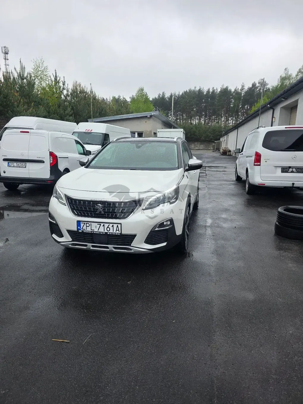 Peugeot 3008 II BlueHDi 130 Stop & Start EAT8 Crossway 2019