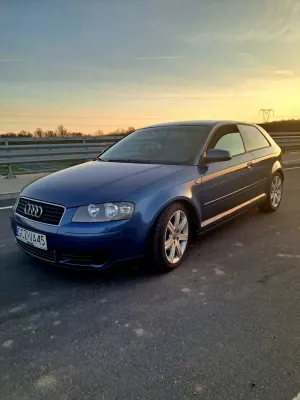 Audi A3 8P 1.6 Attraction 2004