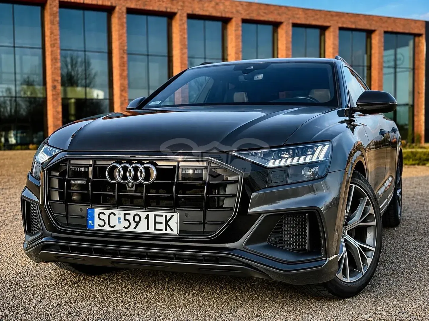 Audi Q8 2019