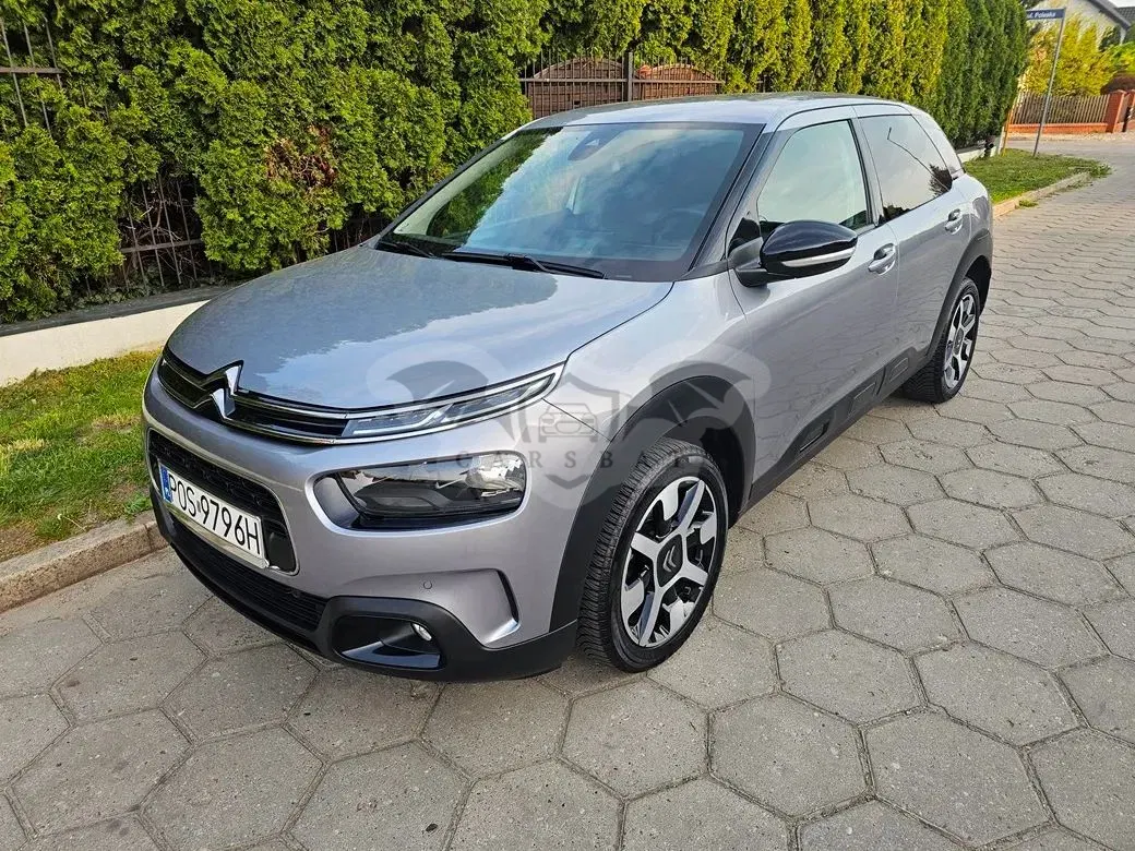 Citroën C4 Cactus Pure Tech e-THP 110 Stop&Start Shine 2019