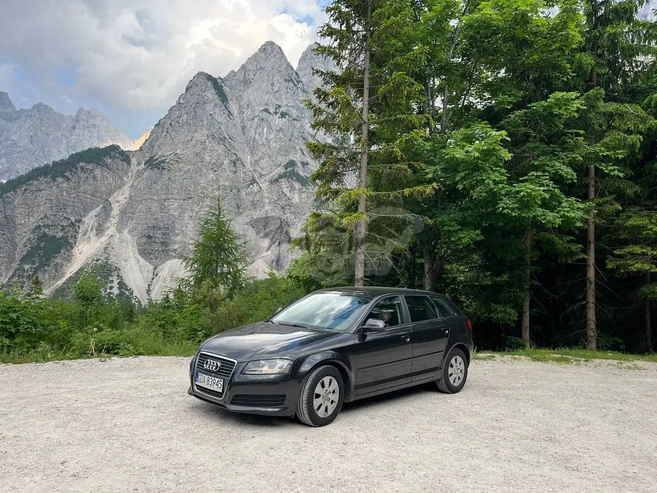 Audi A3 8P 1.6 TDI DPF Ambition 2010