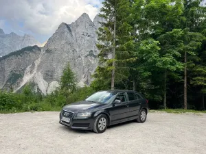 Audi A3 8P 1.6 TDI DPF Ambition 2010