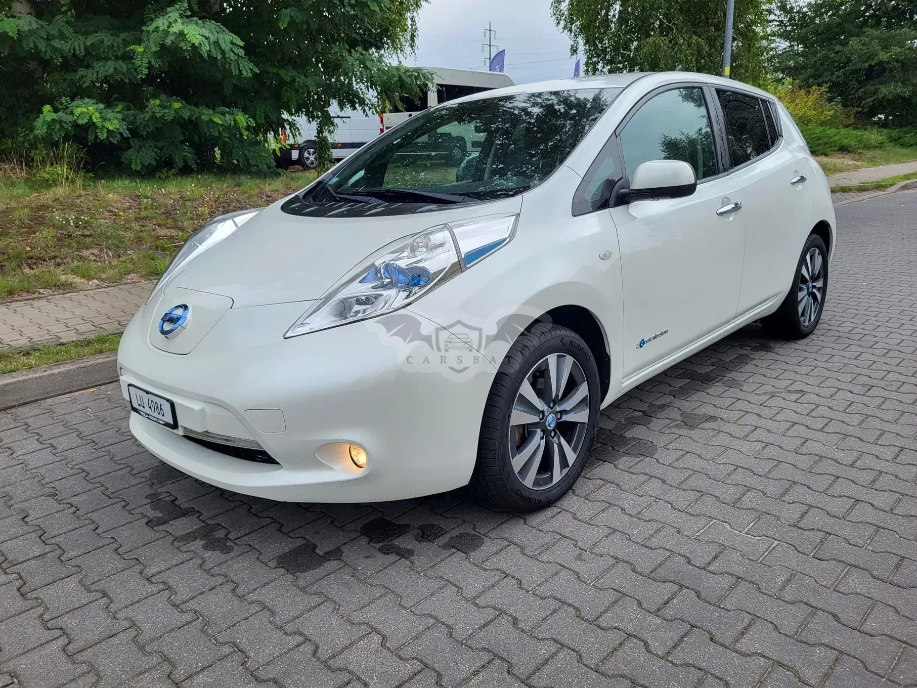 Nissan Leaf 24 kWh (mit Batterie) Visia + 2013
