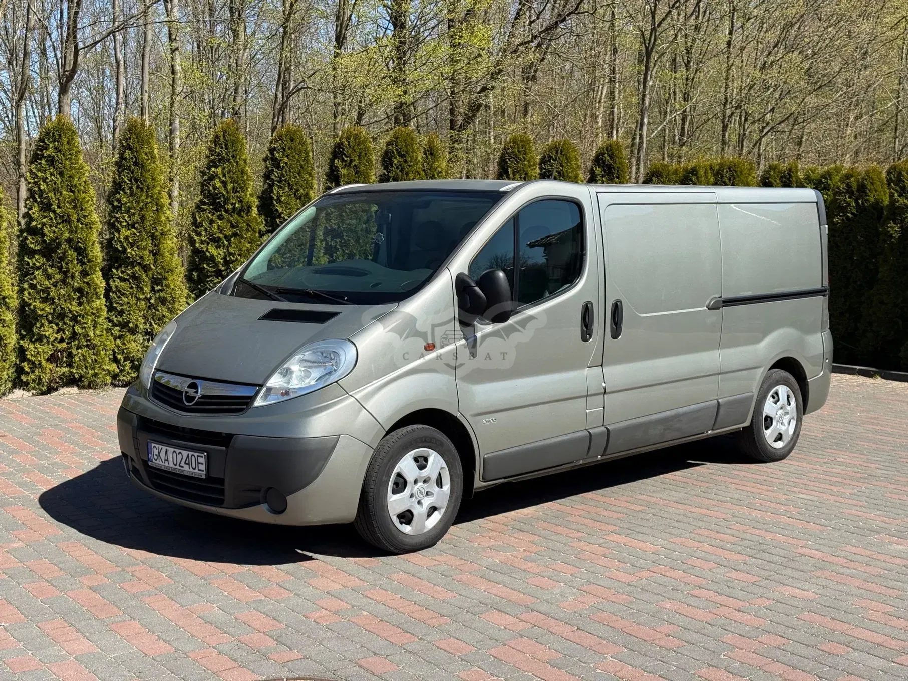 Opel Vivaro I L2H1 2.9t 2012