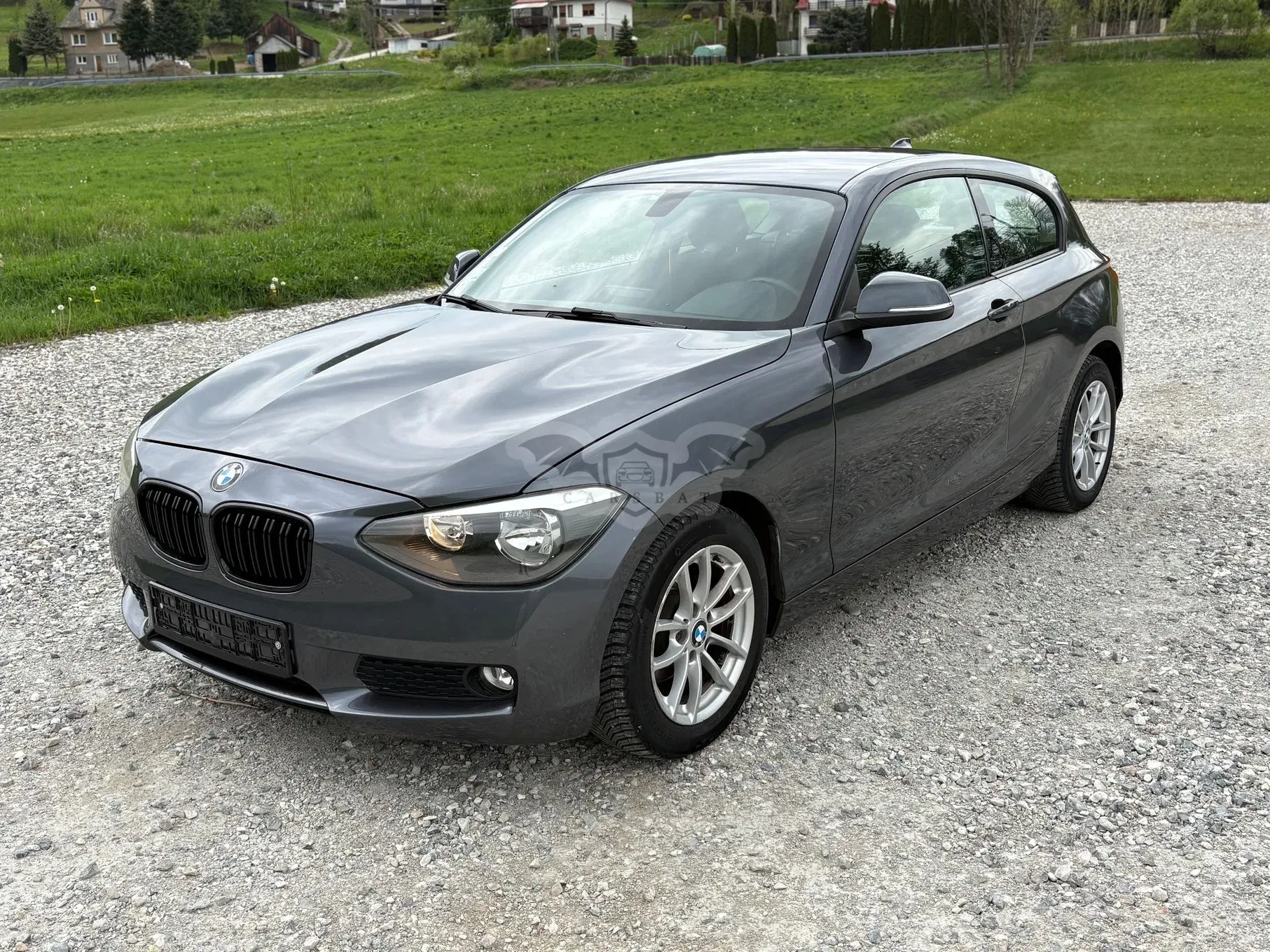 BMW 1 Series F20/F21 116d DPF 2013