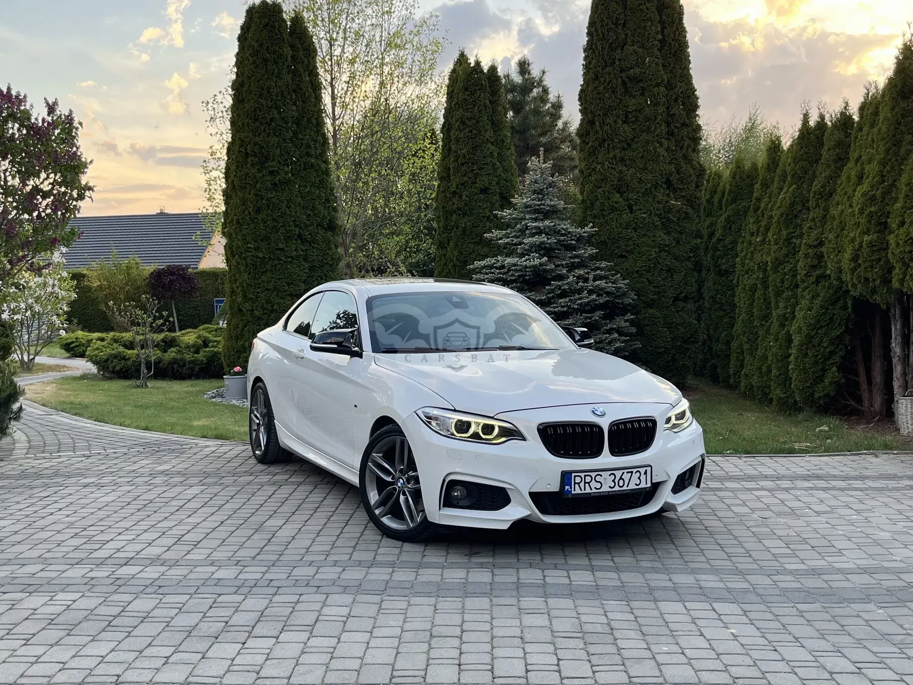 BMW 2 Series 228i M Sport 2014
